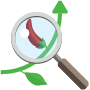 senior SEO manager | Motava | San Jose, CA
